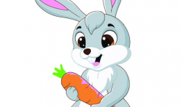 兔 动漫,探寻兔界动漫的奇幻世界