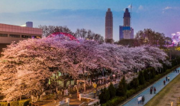 吃瓜爆料抖音网红入口