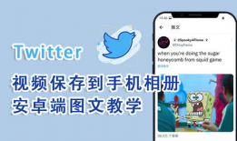 推特下载视频,轻松获取热门内容攻略